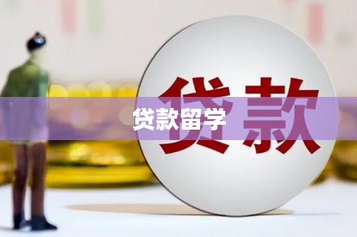 武鸣贷款留学