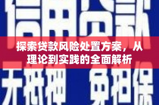 武鸣探索贷款风险处置方案，从理论到实践的全面解析