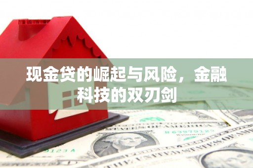 武鸣现金贷的崛起与风险，金融科技的双刃剑