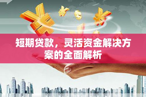 武鸣短期贷款，灵活资金解决方案的全面解析