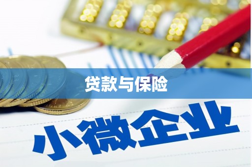 武鸣贷款与保险