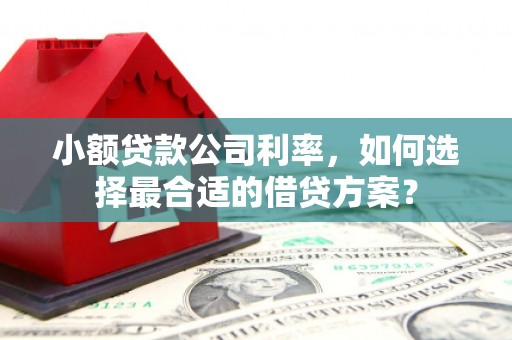 武鸣小额贷款公司利率，如何选择最合适的借贷方案？