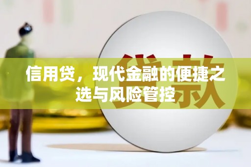 武鸣信用贷，现代金融的便捷之选与风险管控
