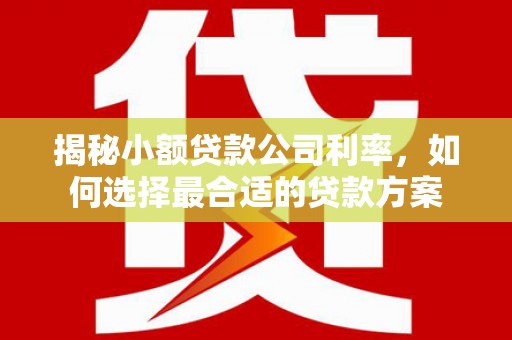 武鸣揭秘小额贷款公司利率，如何选择最合适的贷款方案