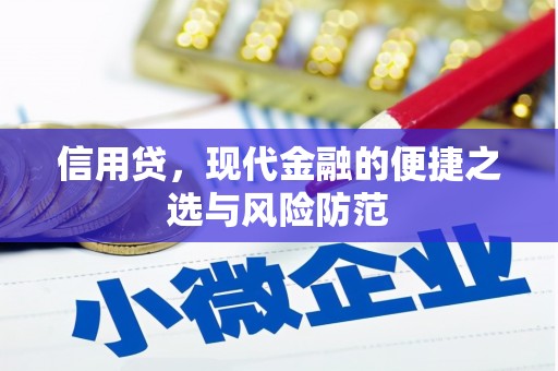 武鸣信用贷，现代金融的便捷之选与风险防范