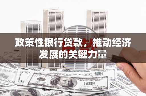 武鸣政策性银行贷款，推动经济发展的关键力量