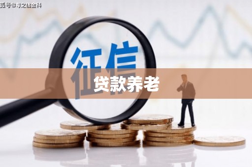 武鸣贷款养老