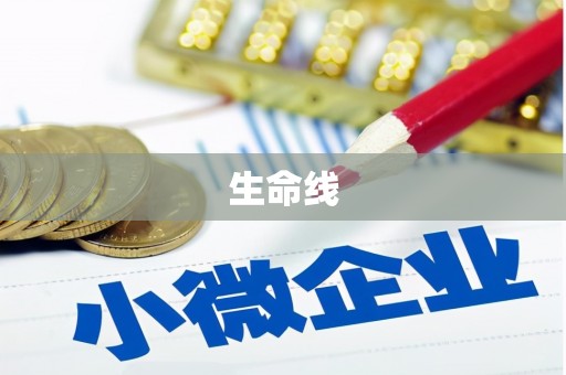 武鸣生命线