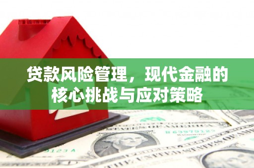 武鸣贷款风险管理，现代金融的核心挑战与应对策略