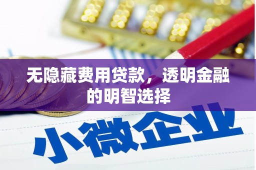 武鸣无隐藏费用贷款，透明金融的明智选择