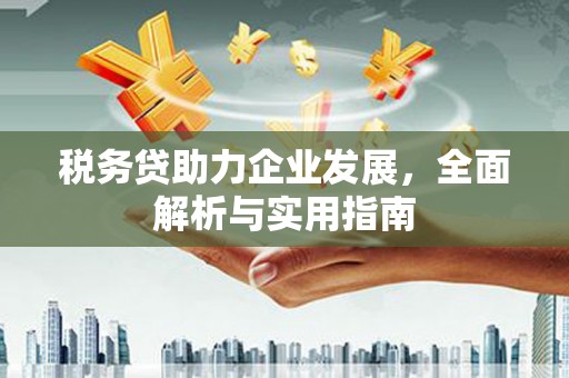 武鸣税务贷助力企业发展，全面解析与实用指南