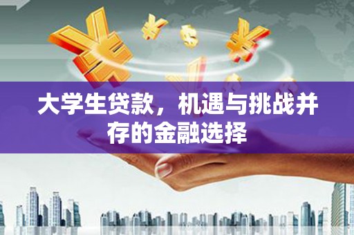 武鸣大学生贷款，机遇与挑战并存的金融选择