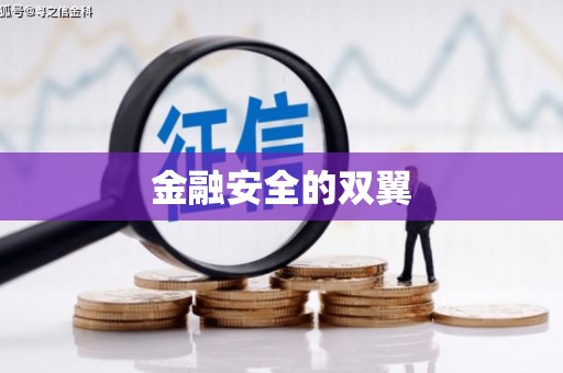 武鸣金融安全的双翼