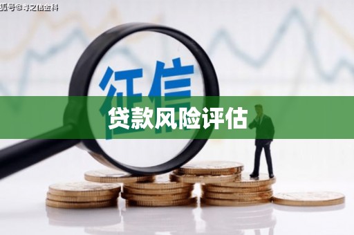 武鸣贷款风险评估