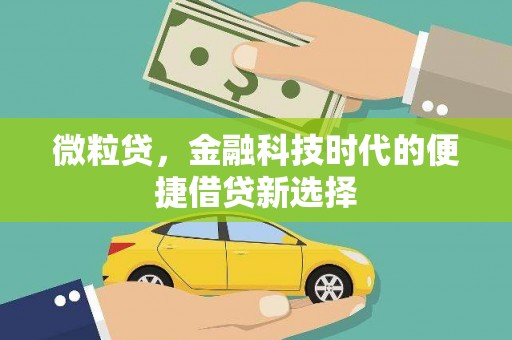 武鸣微粒贷，金融科技时代的便捷借贷新选择