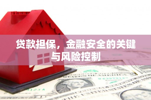 武鸣贷款担保，金融安全的关键与风险控制