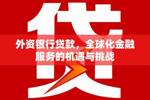 武鸣外资银行贷款，全球化金融服务的机遇与挑战