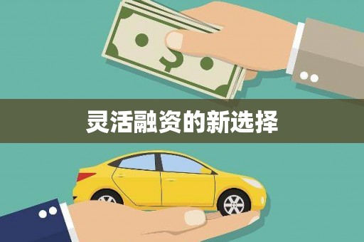 武鸣灵活融资的新选择