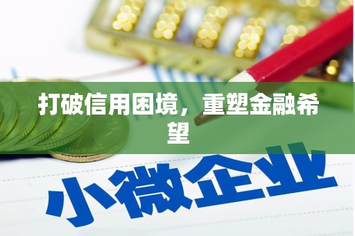 武鸣打破信用困境，重塑金融希望