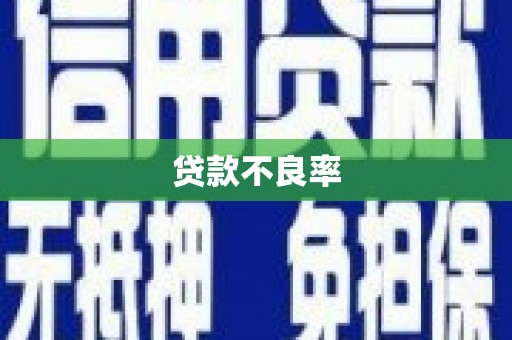武鸣贷款不良率