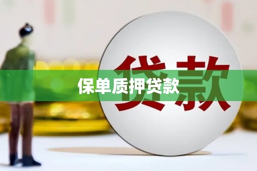武鸣保单质押贷款