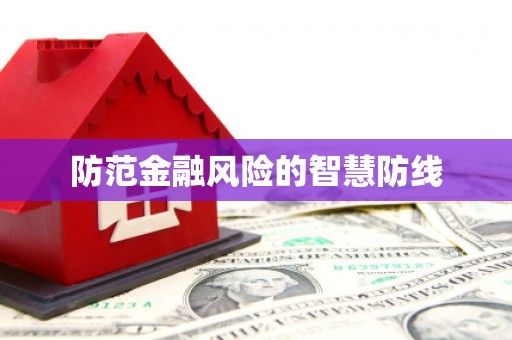 武鸣防范金融风险的智慧防线