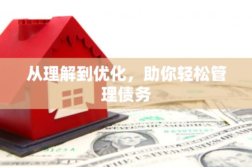 武鸣从理解到优化，助你轻松管理债务