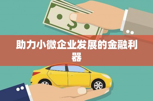武鸣助力小微企业发展的金融利器