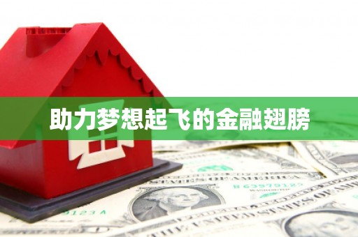 武鸣助力梦想起飞的金融翅膀