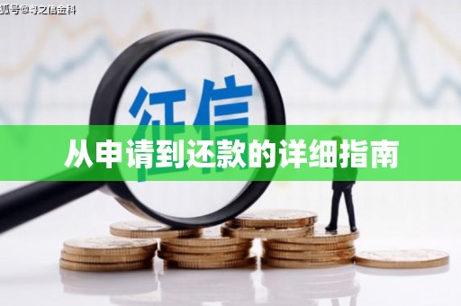 武鸣从申请到还款的详细指南