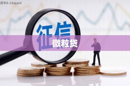 武鸣微粒贷