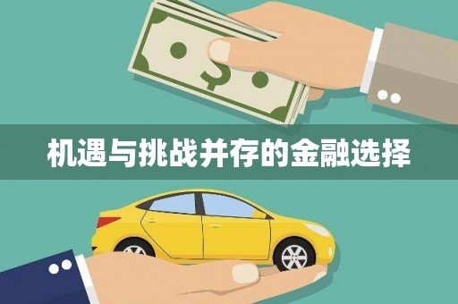 武鸣机遇与挑战并存的金融选择