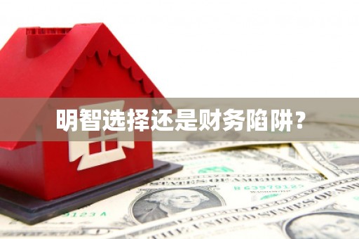 武鸣明智选择还是财务陷阱？