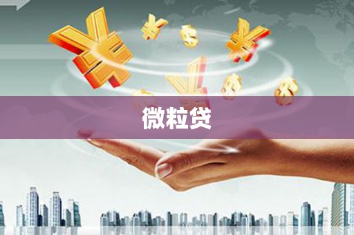 武鸣微粒贷