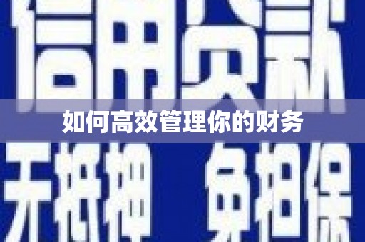 武鸣如何高效管理你的财务