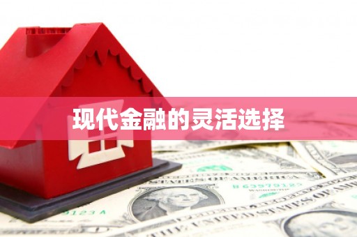 武鸣现代金融的灵活选择