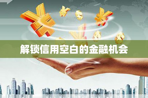 武鸣解锁信用空白的金融机会
