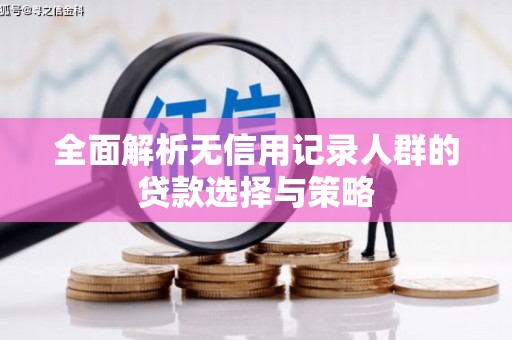 武鸣全面解析无信用记录人群的贷款选择与策略