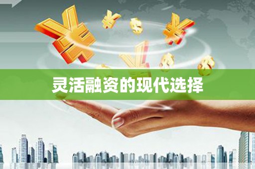 武鸣灵活融资的现代选择