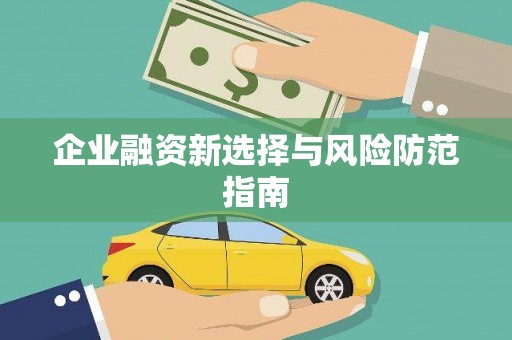 武鸣企业融资新选择与风险防范指南