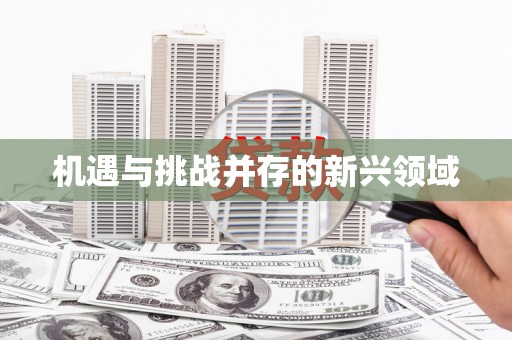 武鸣机遇与挑战并存的新兴领域