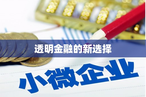 武鸣透明金融的新选择