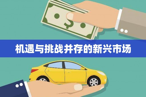 武鸣机遇与挑战并存的新兴市场