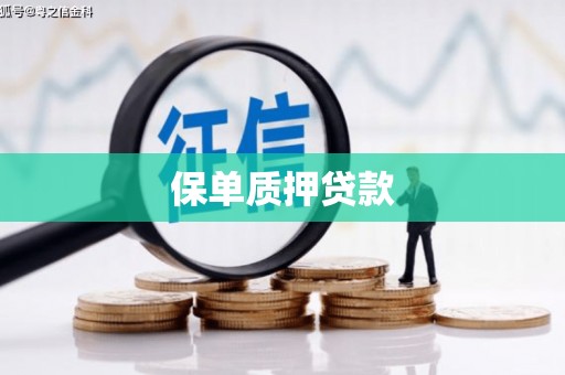 武鸣保单质押贷款