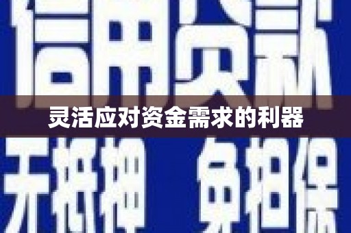 武鸣灵活应对资金需求的利器