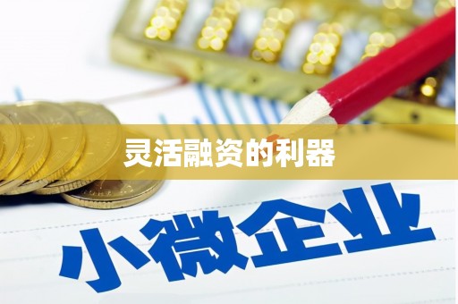 武鸣灵活融资的利器