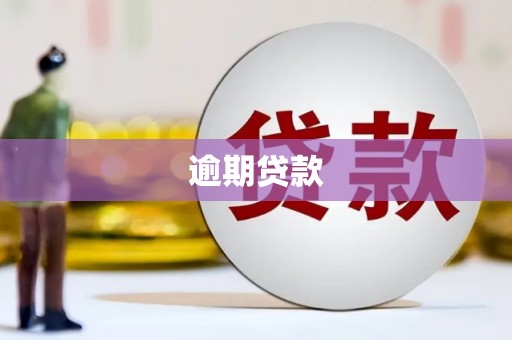 武鸣逾期贷款