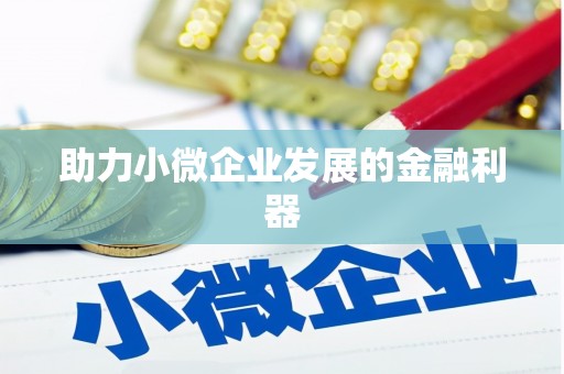 武鸣助力小微企业发展的金融利器