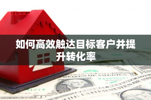 武鸣如何高效触达目标客户并提升转化率
