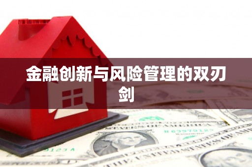 武鸣金融创新与风险管理的双刃剑
